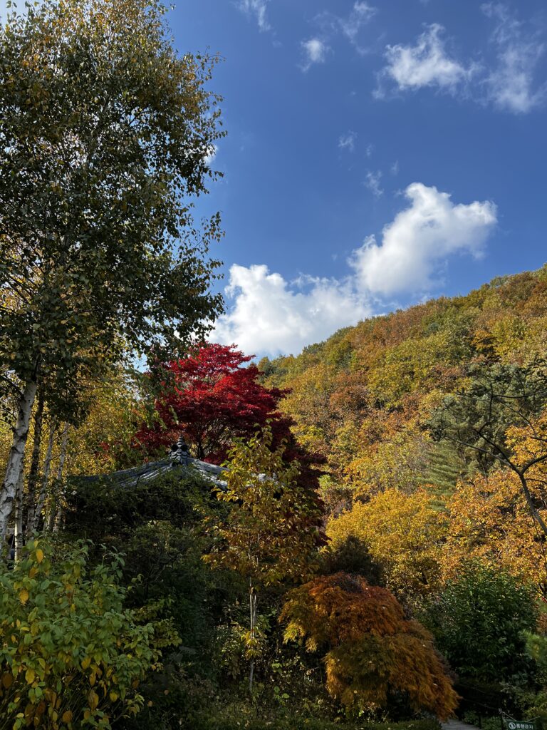A glimpse of Korea in autumn.