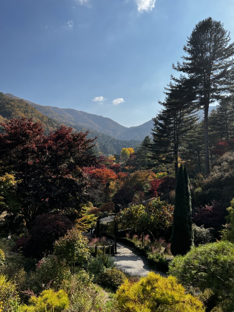 A Glimpse of Korea in autumn. The Garden of Morning Calm.