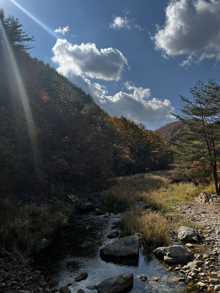 A glimpse of Korea in autumn. Hiking the Korean mountain side. 